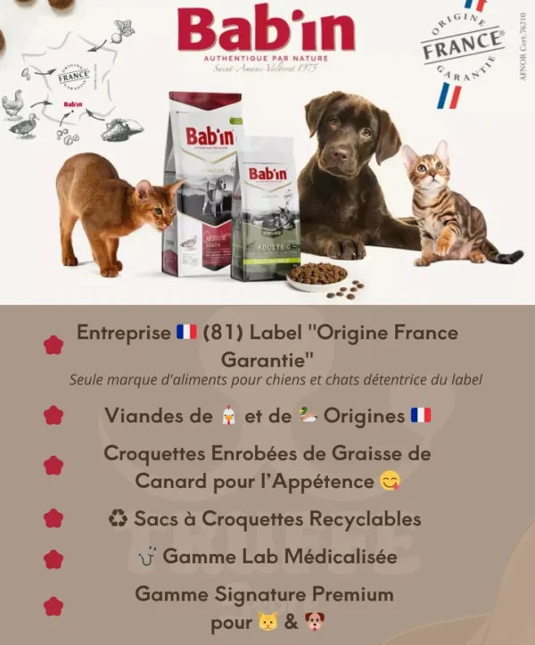 🐾 Bab&rsquo;In chez Truffe Store ! 🐶🐱