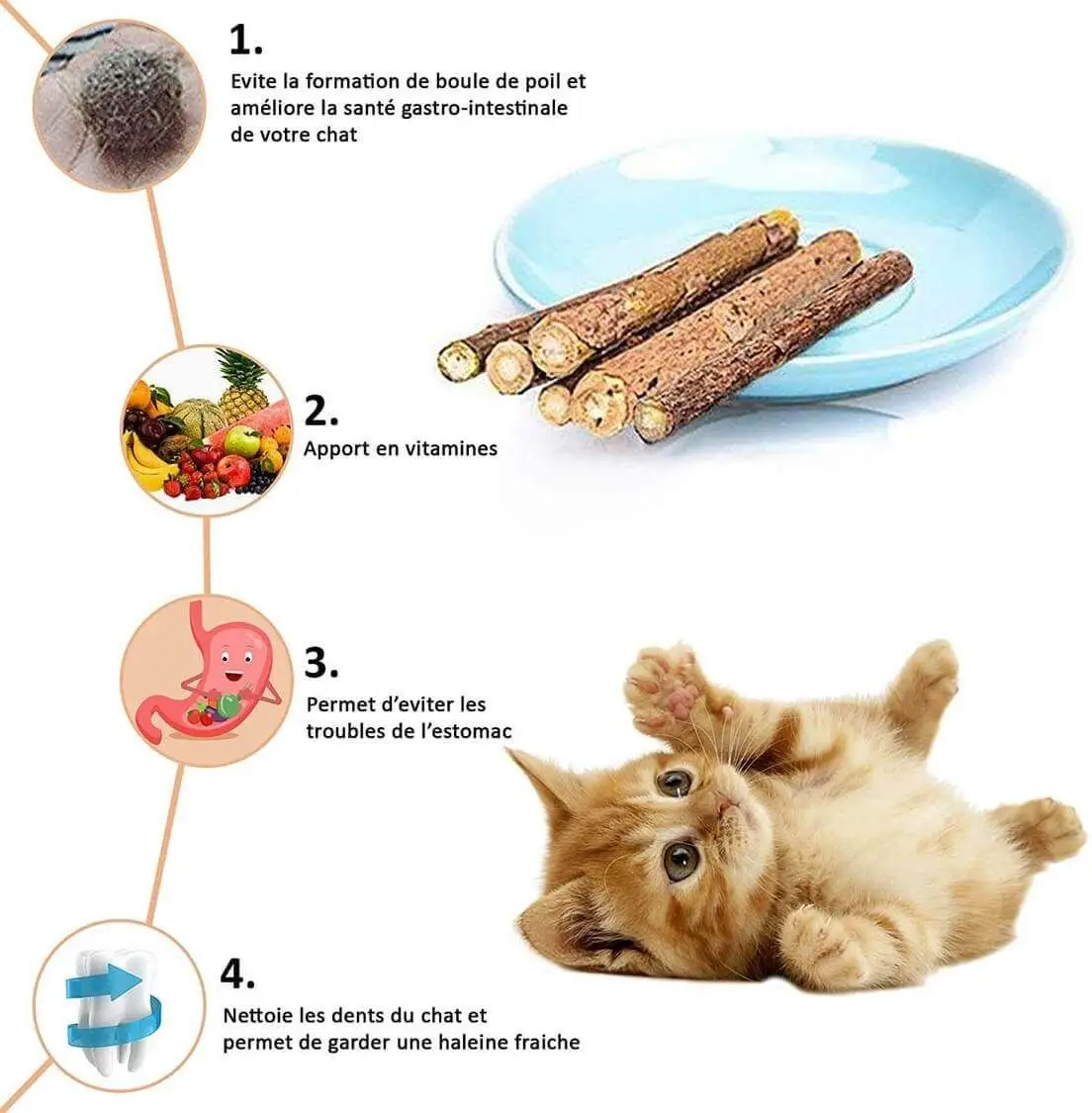 bienfait_du_matatabi_5000x bienfait_du_matatabi_5000x